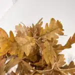 Feuille chêne artificielle orange 3