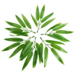 Feuille de bambou artificiel 1