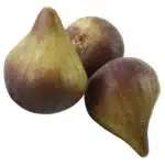 Figue artificielle 1