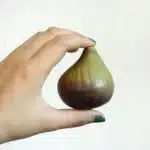 Figue artificielle 2