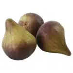 Figue artificielle 3
