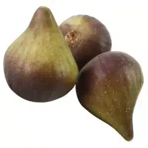 Figue artificielle 1