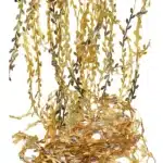 Guirlande feuille dorée 1