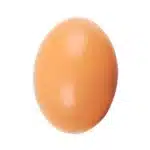 Oeufs artificiels 2