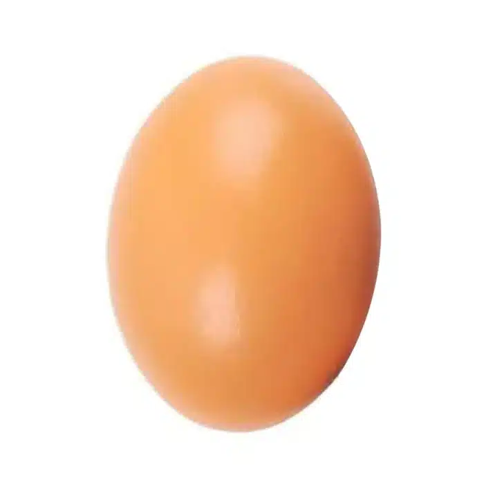 Oeufs artificiels 2