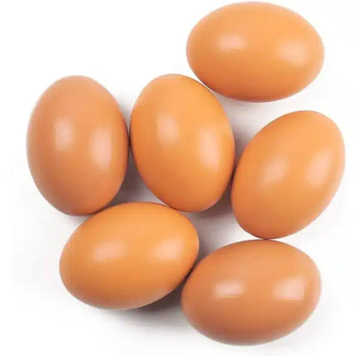 Oeufs artificiels 3