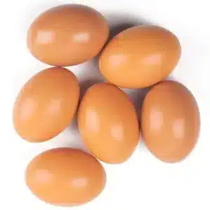 Oeufs artificiels 1