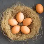 Oeufs artificiels 4