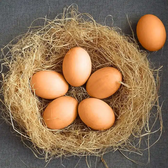 Oeufs artificiels 4