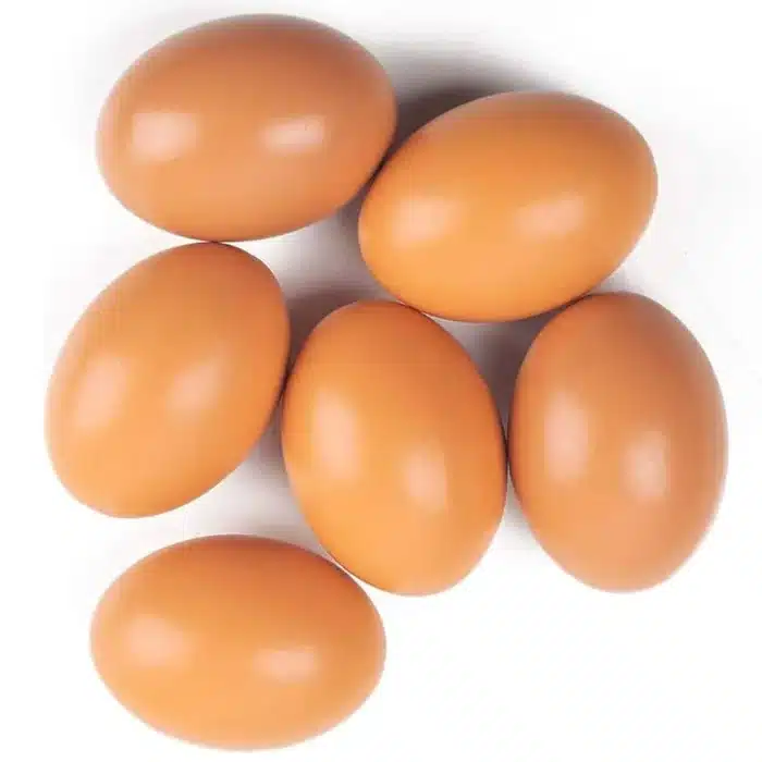 Oeufs artificiels 1