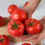 Simulation de tomates en mousse, faux légumes, modèle de tomate artificielle, ornements de cuisine, vitrine de supermarché, accessoires de photographie 1