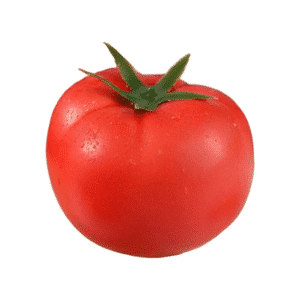 Tomate artificielle (lot de 4)