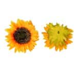 transparent-Photoroom-Photoroom