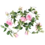 43ec49da-dca3-4005-bc56-c17941598350-Photoroom