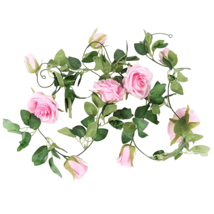 43ec49da-dca3-4005-bc56-c17941598350-Photoroom