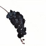 4_cleanup (10)