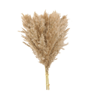 Plante artificielle pampa (lot de 10)