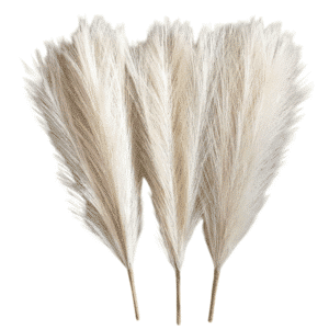 Branche de pampa artificielle (lot de 3)
