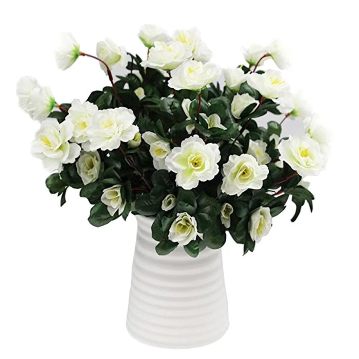 HTB1uM9Xq3KTBuNkSne1q6yJoXXau