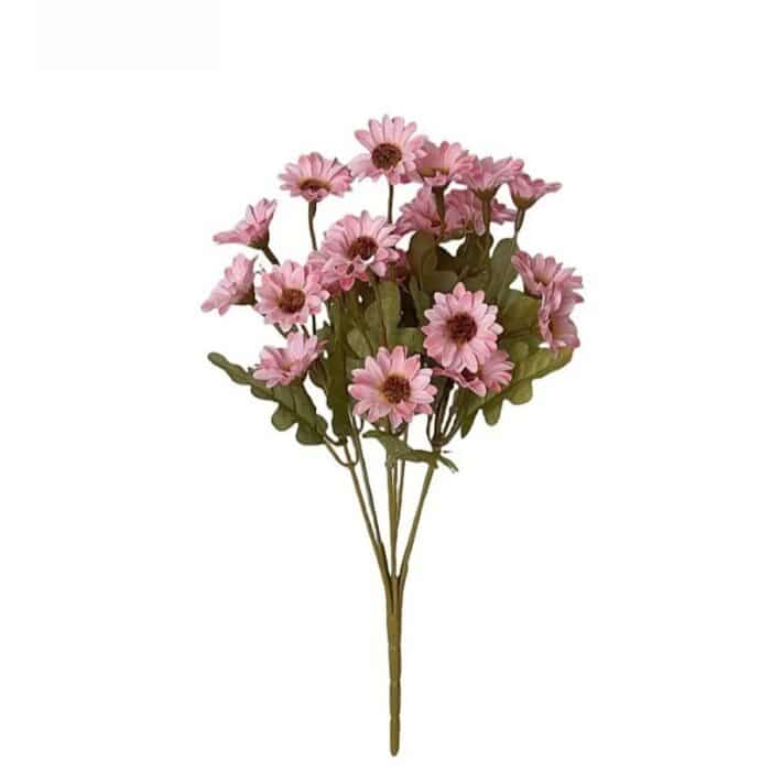 S01d555176d0647dc9d3786ac7094bed