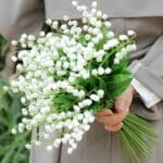 S115d5183769b4f5488ac772c5b20af3