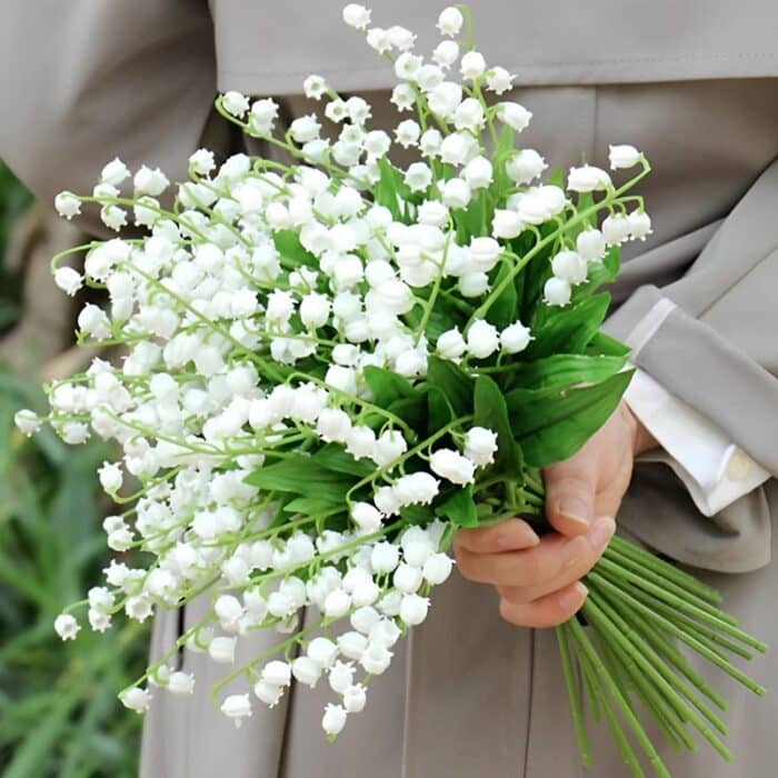 S115d5183769b4f5488ac772c5b20af3