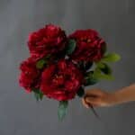 S13156483d7e44798a30e8dd0ec626d7
