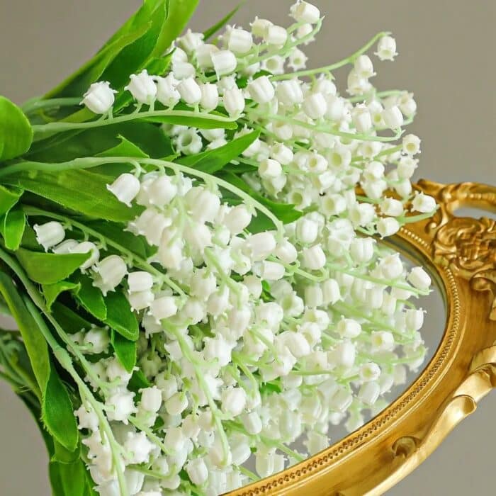 S216f0809ae9b448aa450d246a06d27a