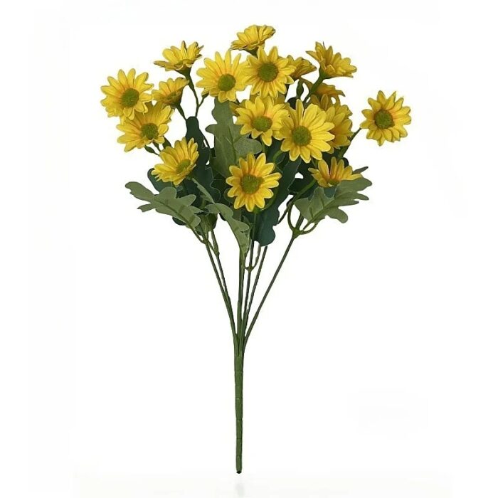 S27d174d26eb44447912e82a9f3d1d2f