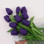 S3f12a51bb336446fbd52d4e85dca02c