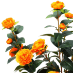 S4bd9fbfb3ebb4dc2a227bfd09b833d6-Photoroom