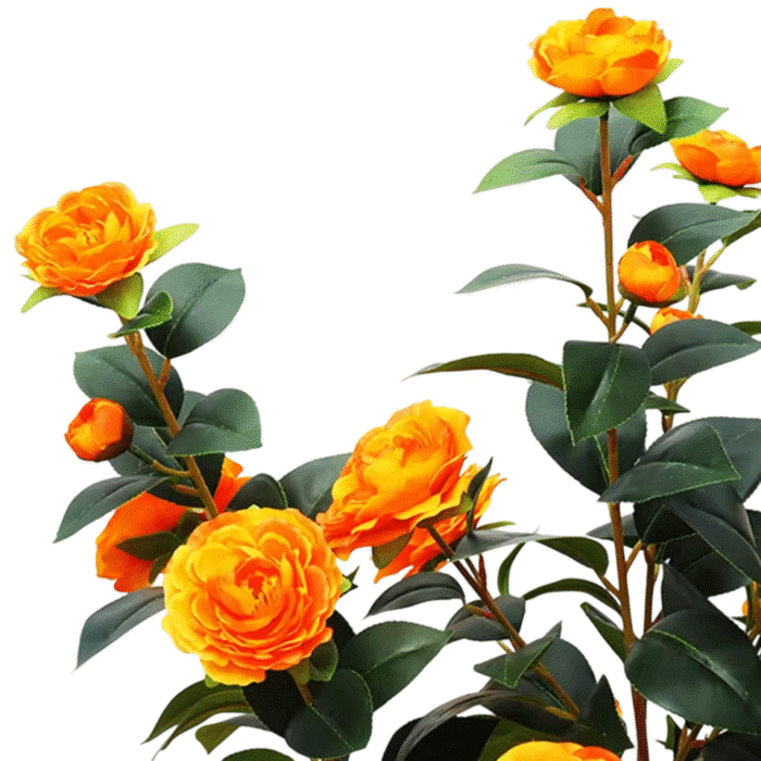 S4bd9fbfb3ebb4dc2a227bfd09b833d6-Photoroom