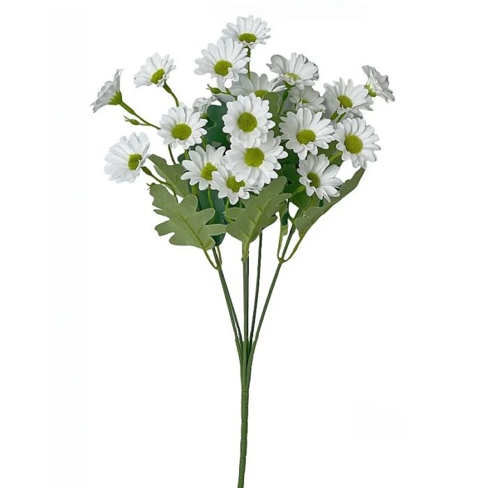 S5193851d9669470ea31bb8020a930d6