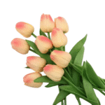 S62bdcbf01cd440d09f5d9971d65f225-Photoroom