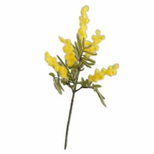 Faux mimosa jaune