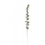 S857c7ee57f9c40918c705f8ae87dfd2_cleanup