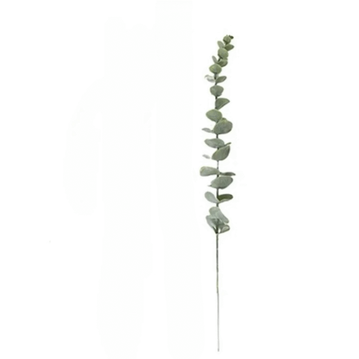 S857c7ee57f9c40918c705f8ae87dfd2_cleanup