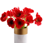 S85bff103f1594214a0bce0f50b89ead-Photoroom