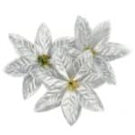 S93c7587a42c0462ab29962d1e83baeb