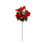 S9a3ad76b0f4a47da85bcf735d461707_cleanup