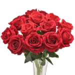 Sc90dd2db8eca47f8bc3d80e91d2b5a1-Photoroom