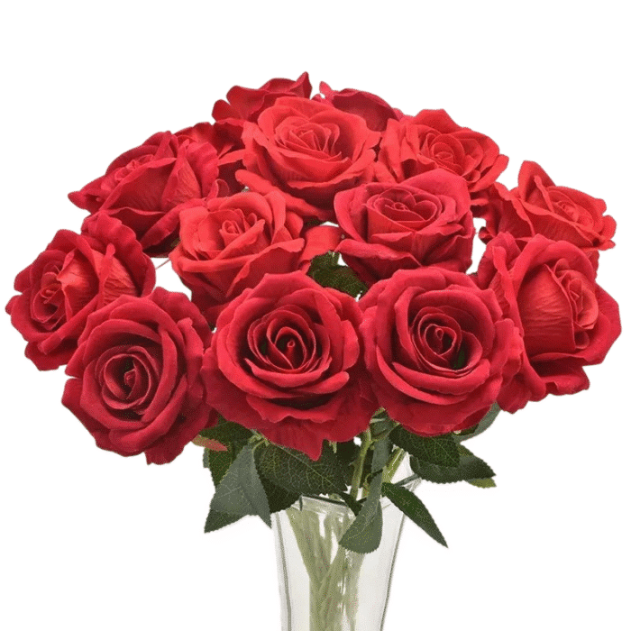 Sc90dd2db8eca47f8bc3d80e91d2b5a1-Photoroom