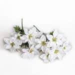 Sc95f32e1206d4636a559d278f2ca8b8