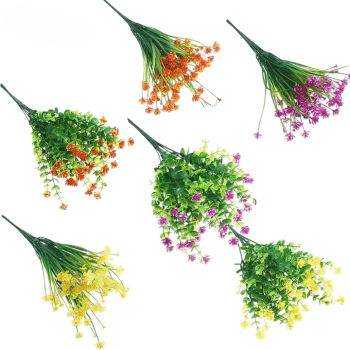 Scdbe8c69301a460392ef0bf8b05b2be-Photoroom_cleanup