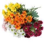 Sceb279369fb94e2481ce6260c2432d4-Photoroom