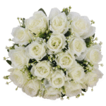 Sf87ce0272094418bb0435b42935a764-Photoroom