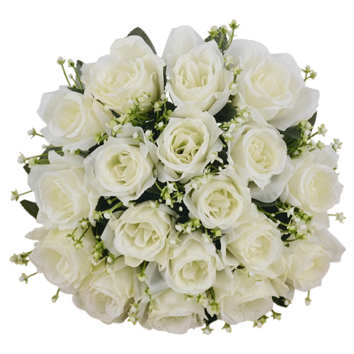 Sf87ce0272094418bb0435b42935a764-Photoroom