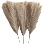 aeda0fb6-4ea9-41fb-9722-56952e918a32-Photoroom_cleanup