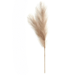 c38e8fe9-ac0e-4dfc-8ad7-3957406df227_cleanup