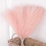 light_pink
